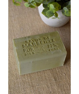 Lessive liquide de Marseille Thé vert 5L - Ecodétergent – Rampal