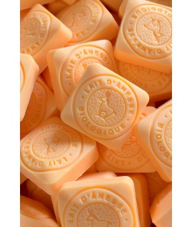SAVON AU LAIT D'ÂNESSE BIO...