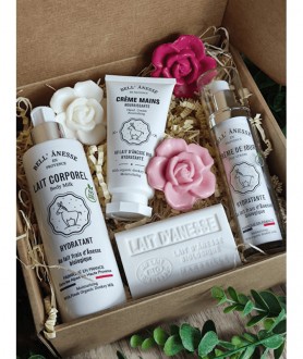 Box cocooning ânesse