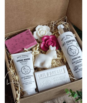 Box évasion ânesse