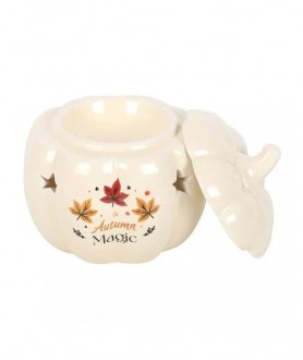 Brûle parfum citrouille...