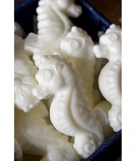 PETIT SAVON HIPPOCAMPE...