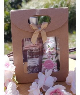 Coffret parfum d'ambiance...