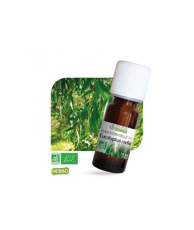 Huile essentielle Eucalyptus radié bio - 10 ml